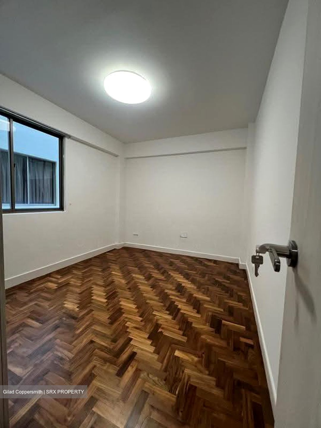 Cavenagh Lodge (D9), Apartment #607473421